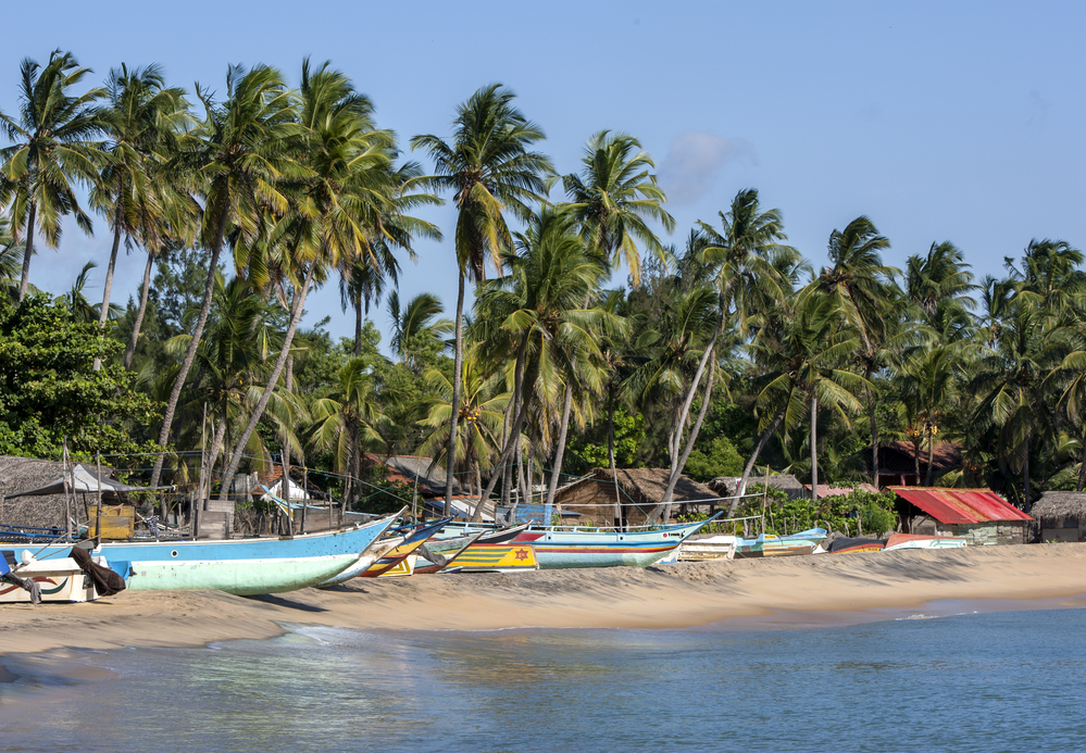 חוף ארגמביי עם סירות ודקלים