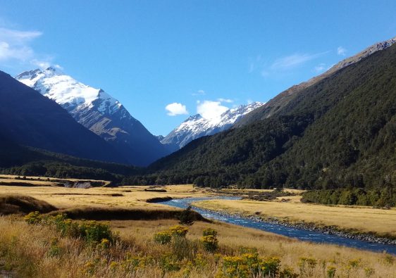נוף הרים ונחל זורם בניו זילנד