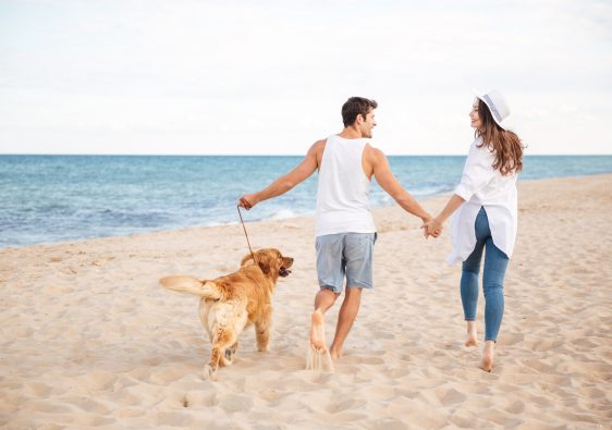 זוג מאושר בחוף הים עם כלב